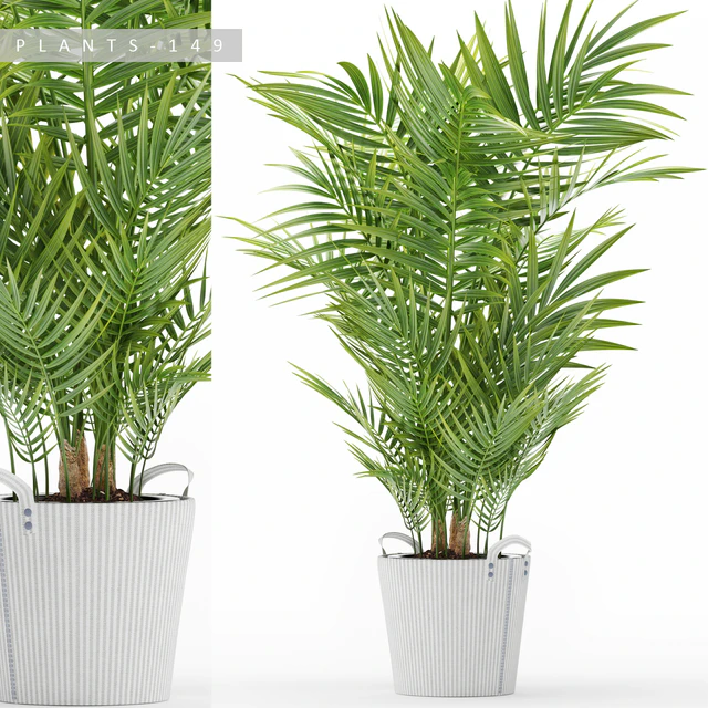 PLANTS 149 — Descargar