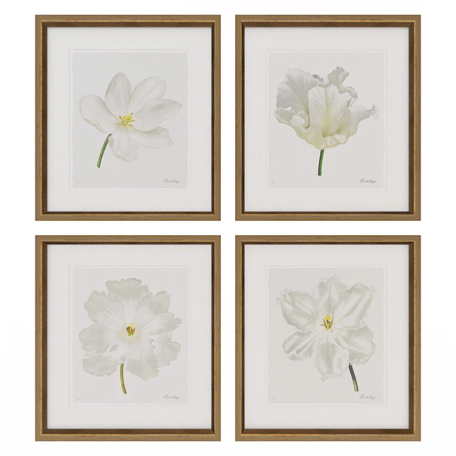 Charlotte Morgan White Watercolour Tulips — Скачать