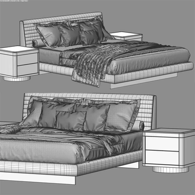 Minotti Roger — Вид 5