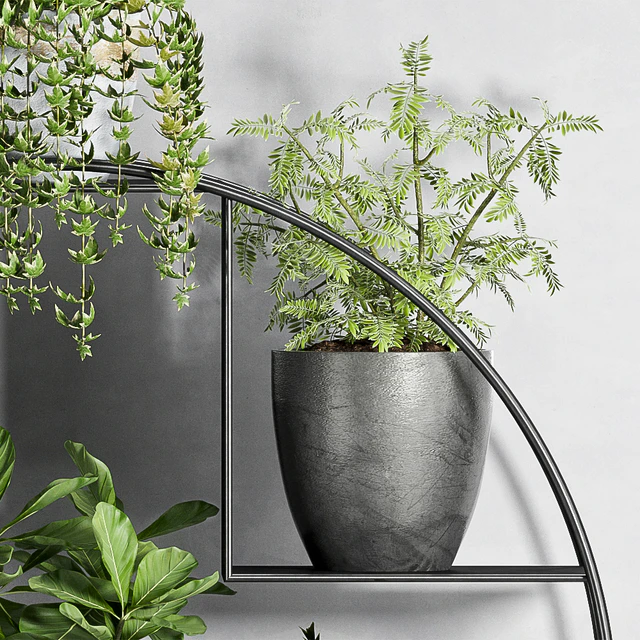 PLANT SET -87 — Скачать