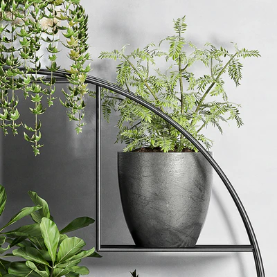 PLANT SET -87 — Вид 3