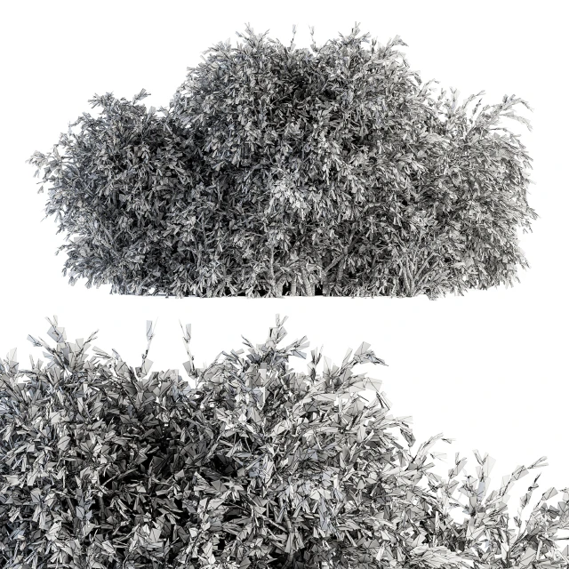 Ficuss Bush - Bush Set 13 — Descargar