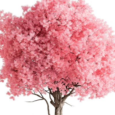 Indoor Plant 657 - Pink Tree — Вид 2