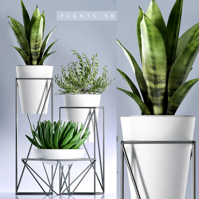 PLANTS 99 — Скачать
