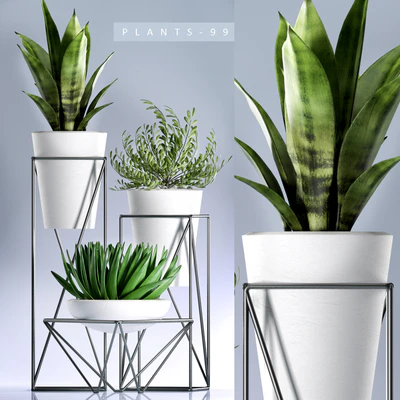 PLANTS 99 — Вид 1
