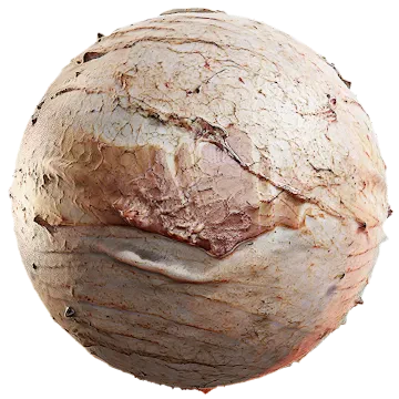 inner cow skin 007 — Descargar