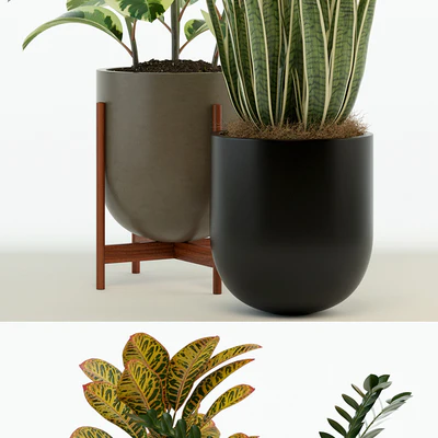 Plants collection 75 Modernica pots — Вид 3