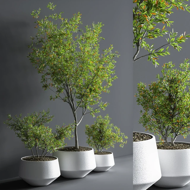 Indoor Set Plant 08 — Скачать