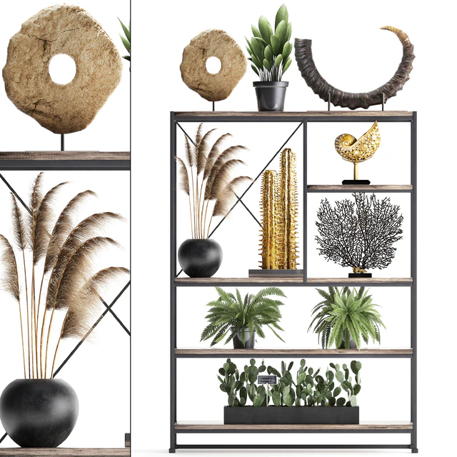 Decorative set 14. Decor shelf, tusk, pampas grass, dried flower, coral, cactus, fern, rack, loft decor — Descargar
