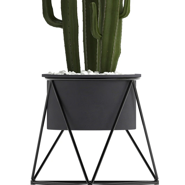 Collection of plants 280. Cactus, Dieffenbachia, white pot, interior plants, Scandinavian style — Descargar