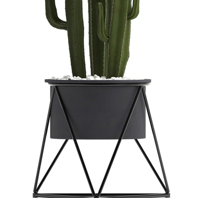 Collection of plants 280. Cactus, Dieffenbachia, white pot, interior plants, Scandinavian style — Ver 2