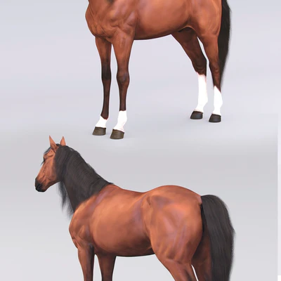 Standing horse — Ver 2