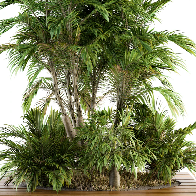 Garden set Tropical bush and Tree - Garden Set 05 — Скачать