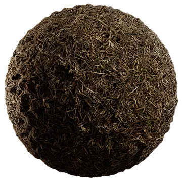 dried grass 008 — Descargar