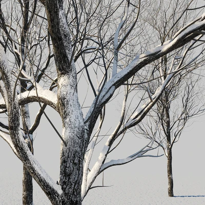 snow-covered trees — Ver 6
