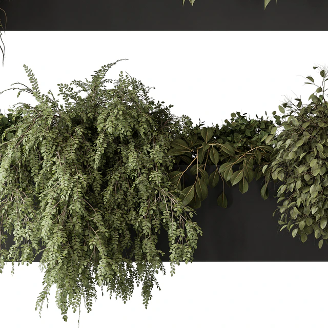 indoor Plant Set 297 - Hanging Plants — Descargar