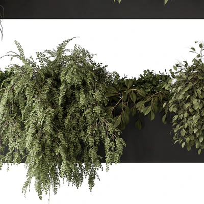 indoor Plant Set 297 - Hanging Plants — Ver 4