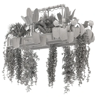 Indoor Hanging Plants in Metal Box - Set 146 — Ver 7