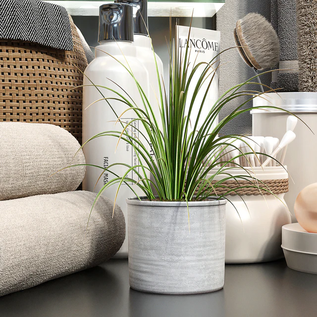 Collaction Bathroom Accessories Vol 2 — Скачать