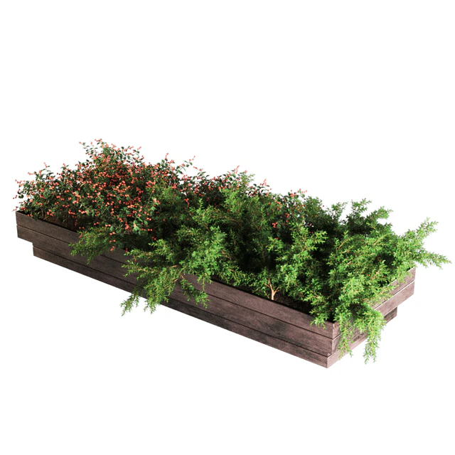 plant1101 — Descargar