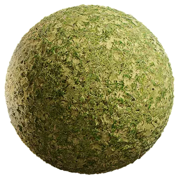 wild grass 042 — Descargar
