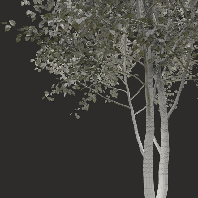 Summer tree # 2 — Descargar