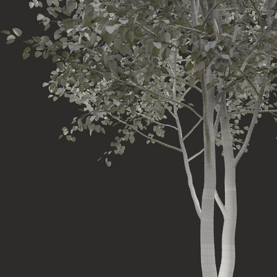 Summer tree # 2 — Ver 2