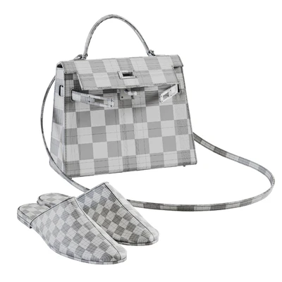 Hermes bag and mules — Ver 5