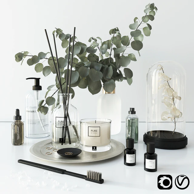 Bathroom set with eucalyptus — Download