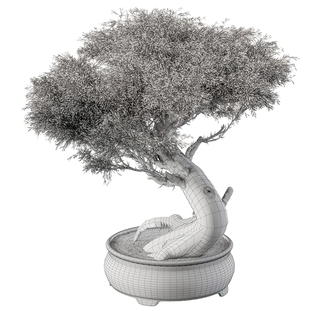 indoor Plant 452 - Bonsai Plant — Descargar
