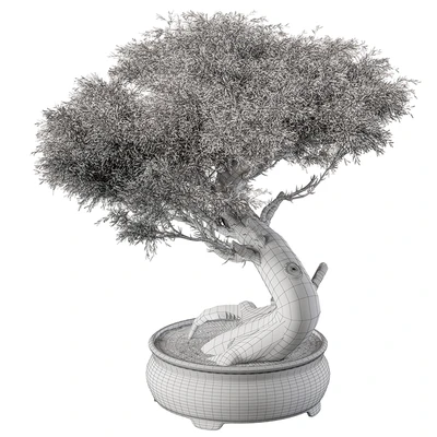 indoor Plant 452 - Bonsai Plant — Ver 4