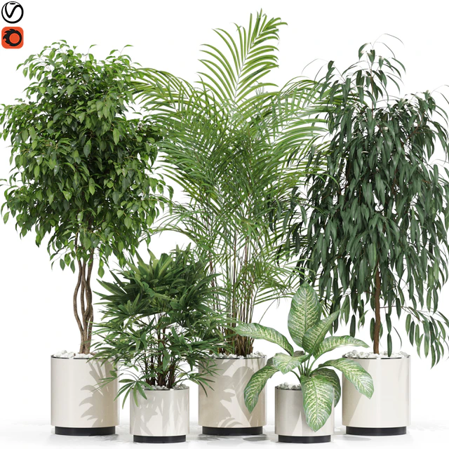 Plants collection 600 — Descargar