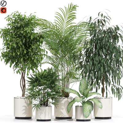 Plants collection 600 — Ver 1
