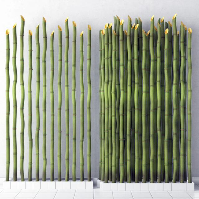 Bamboo decor — Descargar