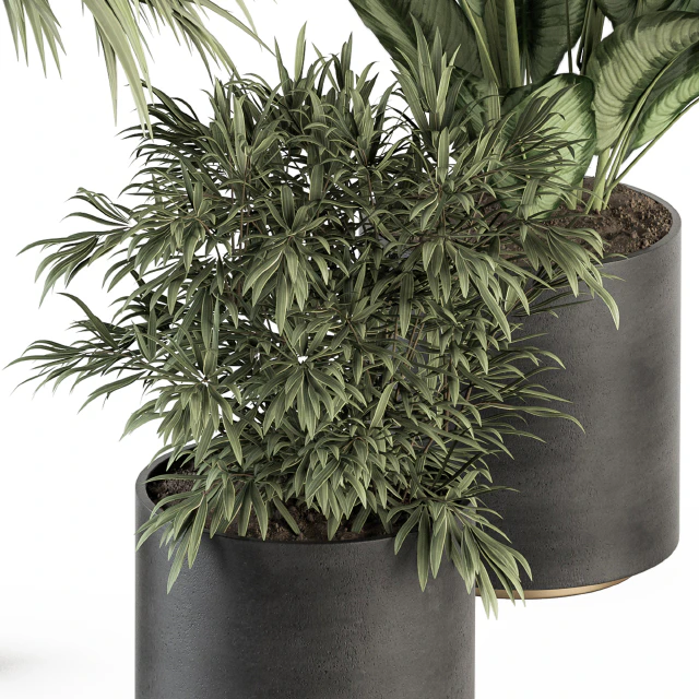indoor Plant Set 256 - Plant Set in pot — Descargar