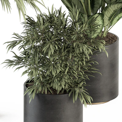 indoor Plant Set 256 - Plant Set in pot — Ver 7