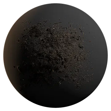 forest floor compost 002 — Скачать