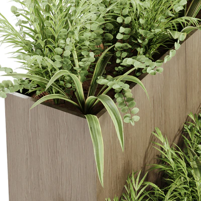 indoor plant Set 21 — Вид 5