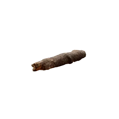 tree debris 022 — Скачать