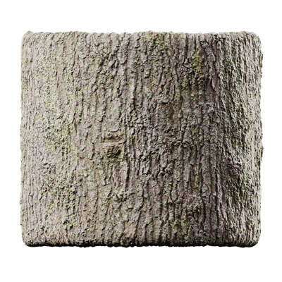 deciduous 007 — Скачать