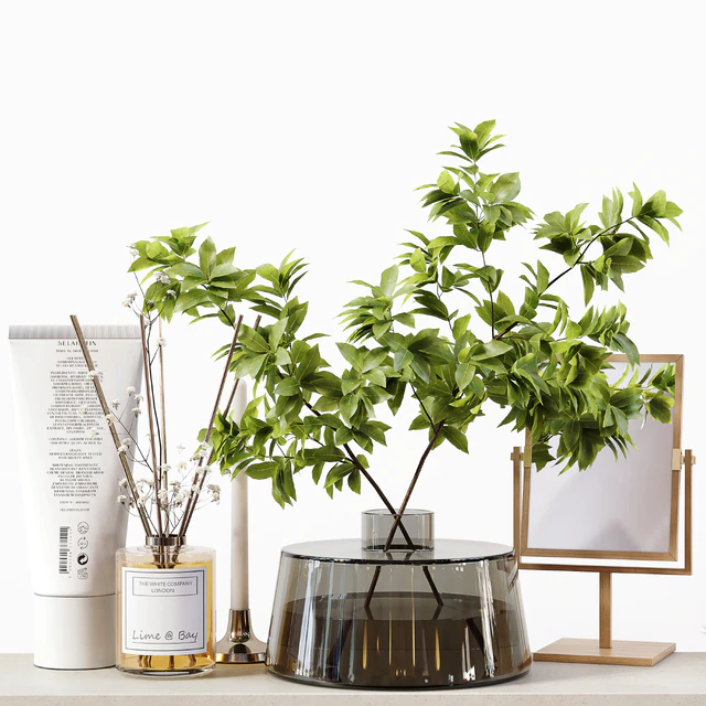 Decorative Set 174 — Descargar