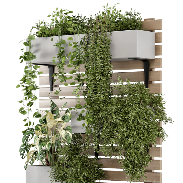 Indoor Hanging Plants in Metal Stand - Set 1131 — Скачать