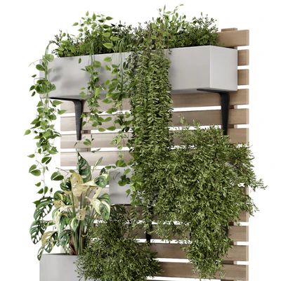 Indoor Hanging Plants in Metal Stand - Set 1131 — Вид 5