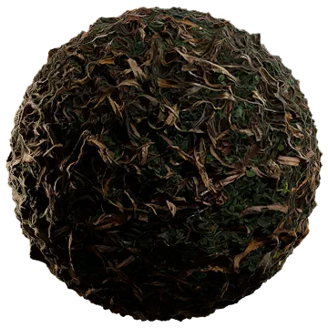 moist fallen leaves 001 — Descargar