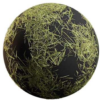 dead grass 001 — download