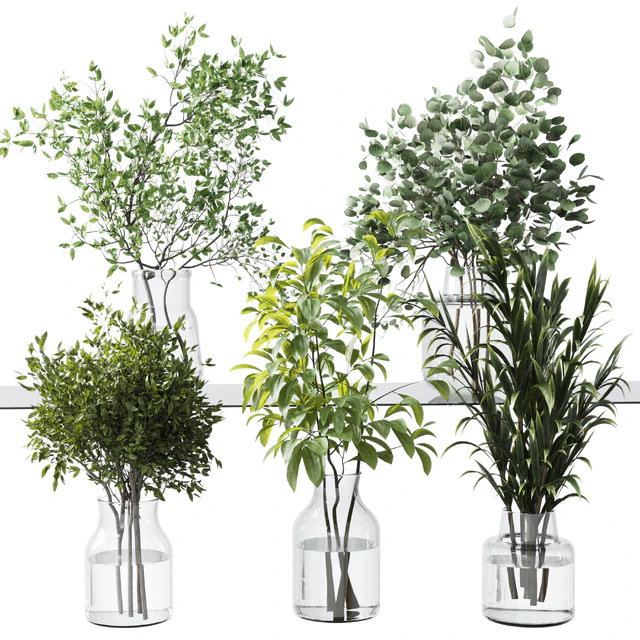 Collection Green Plants Bouquet Indoor 12 — Descargar