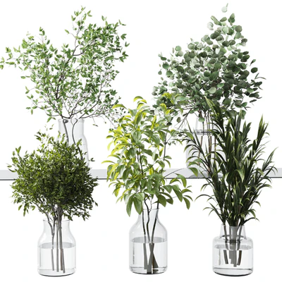 Collection Green Plants Bouquet Indoor 12 — Ver 1