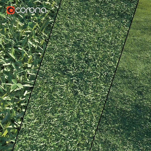 Lawn grass — Descargar