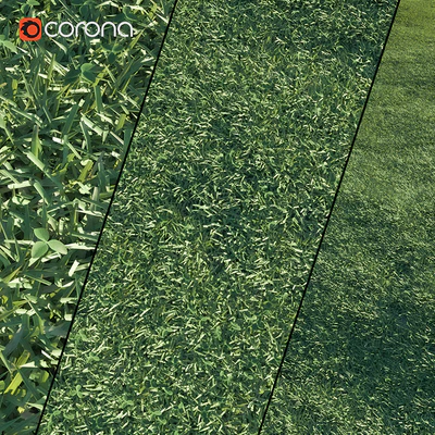 Lawn grass — Ver 1