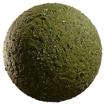 mossy ground 023 — Скачать